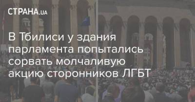 В Тбилиси у здания парламента попытались сорвать молчаливую акцию сторонников ЛГБТ