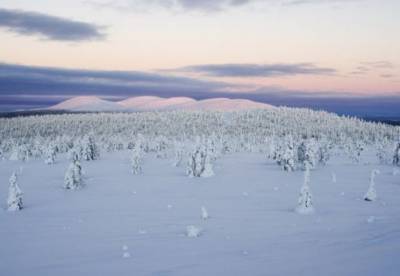 В Лапландии побит температурный рекорд за последние 100 лет