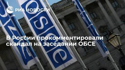 Российские парламентарии раскрыли подробности скандала на заседании ОБСЕ