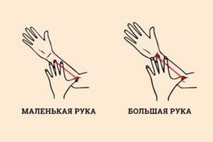 Что может рассказать о характере человека размер его руки