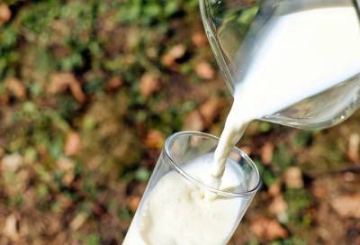 Врач-диетолог развеял распространенные мифы о молоке