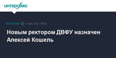 Новым ректором ДВФУ назначен Алексей Кошель