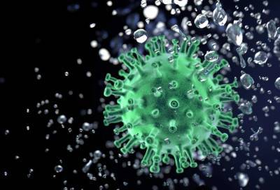 Эпидемиолог высказался о сроках появления коллективного иммунитета в России