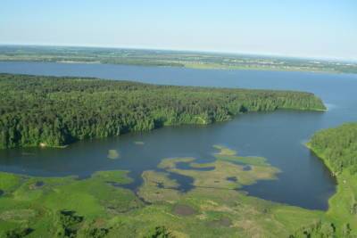 Опасные примеси выявила экспертиза в зеленом пятне на реке Бердь под Новосибирском