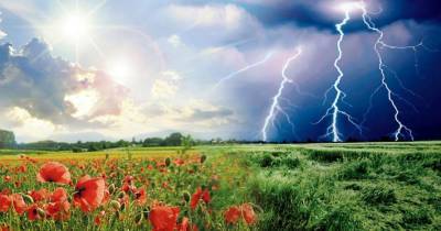 В Украине в ближайшие дни сохранится неустойчивая погода