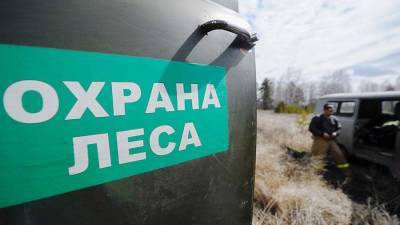 В России ужесточат охрану лесов
