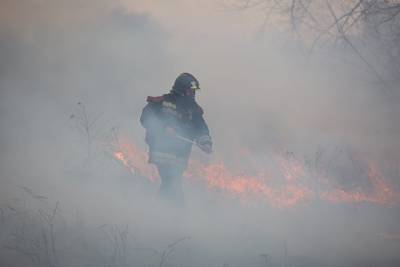 Города Курганской области окутал смог — в регионе бушуют лесные пожары