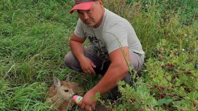 Житель Башкирии спас от браконьеров детёныша косули