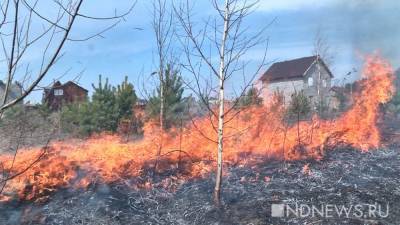 В Курганской области тушат несколько лесных пожаров