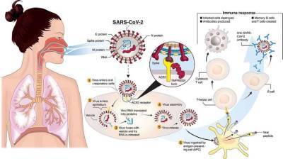 В Украине наблюдается поступательный рост эпидемии коронавируса