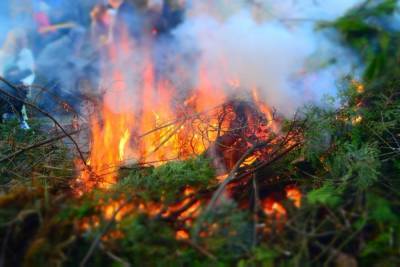 Больше 30 человек тушили лесной пожар в Тверской области