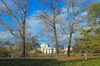 Теперь благоустройством памятников смогут заниматься муниципалитеты Петербурга