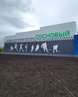 На фасаде строящегося ледового комплекса на Радуге в Кемерове появилось название
