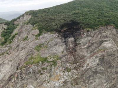 Обнаружены останки 19 погибших на месте крушения Ан-26 на Камчатке - санавиация
