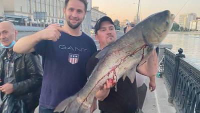 Москвич на Бережковской набережной поймал гигантскую рыбу