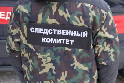 В селе Истье Рязанской области нашли труп мужчины с огнестрельным ранением