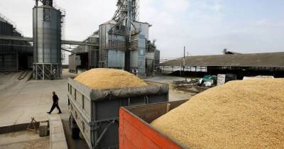 Россия нарастила экспорт сельхозпродукции до $ 14,5 млрд