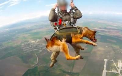 Как собачья эскадрилья Путина готовится к войне (ФОТО)