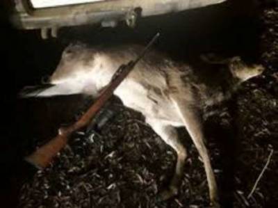 Убийцу оленя в Черкасской области апелляция не спасла