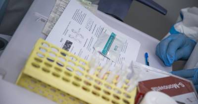 В России проверят цены на ПЦР-тесты в частных клиниках и лабораториях