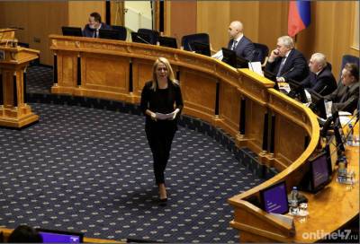 Депутаты Заксобрания Ленобласти предложили расширить применение регионального маткапитала