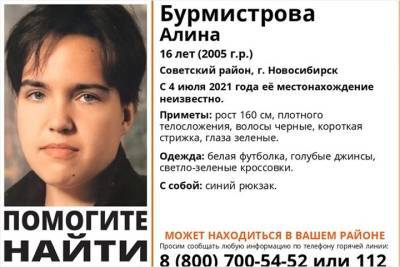 Девушка-подросток пропала в новосибирском Академгородке