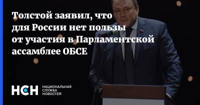 Толстой заявил, что для России нет пользы от участия в Парламентской ассамблее ОБСЕ