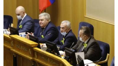 Депутаты ЗакСа Ленобласти проголосовали за новые способы применения материнского капитала