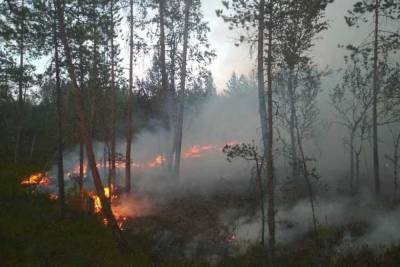 Режим повышенной готовности введён в Суоярвском районе из-за лесных пожаров