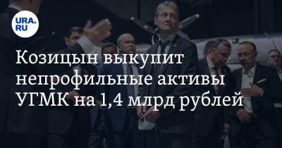 Козицын выкупит непрофильные активы УГМК на 1,4 млрд рублей