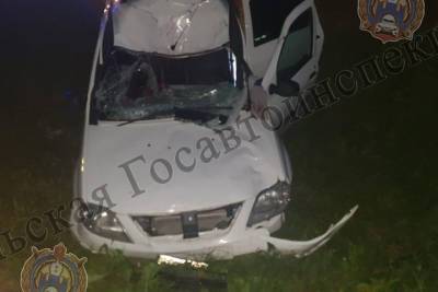 В Туле на трассе М-2 Крым водитель «Lada Largus» сбил лося