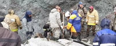 На Камчатке на месте крушения самолета Ан-26 найдены тела 19 погибших