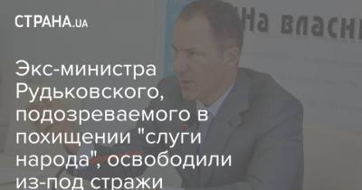 Экс-министра Рудьковского, подозреваемого в похищении "слуги народа", освободили из-под стражи