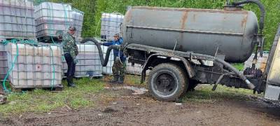 Россельхознадзор в Карелии признал опасным загрязнение почвы после разлива рыбных отходов в Толвуе