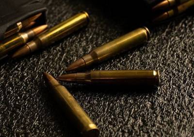 В Костромской области девятилетний мальчик застрелил сестру из ружья