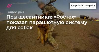 Псы-десантники: «Ростех» показал парашютную систему для собак