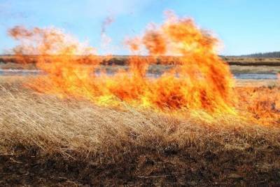 Два пожара в Чердаклинском районе, один - в Новоспасском. Спасатели тушили горящую траву
