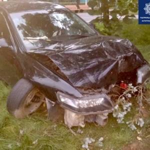В Запорожье пьяный водитель слетел на обочину и врезался в дерево. Фото