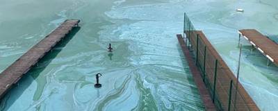 В НСО в реке Бердь нашли повышенное содержание нефтепродуктов