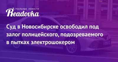 Суд в Новосибирске освободил под залог полицейского, подозреваемого в пытках электрошокером