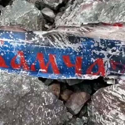 Обнаружены фрагменты тел 19 погибших при крушении Ан-26 на Камчатке