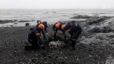 Более 100 кв. км обследовали с воздуха спасатели в районе крушения Ан-26 на Камчатке