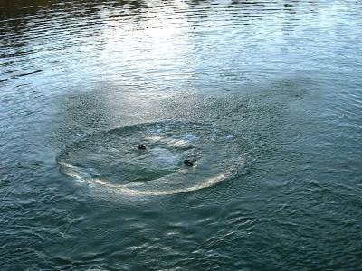 За купальный сезон в Глазовском районе Удмуртии утонуло три человека