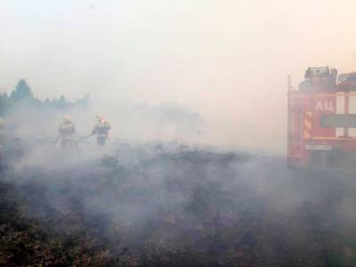 В Зауралье тушат пожары в четырех районах региона. Горят болота