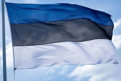 Консула Эстонии в Петербурге объявили персоной нон грата и дали 48 часов на отъезд