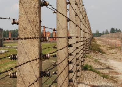 Литва планирует построить стену на границе с Белоруссией из-за наплыва мигрантов