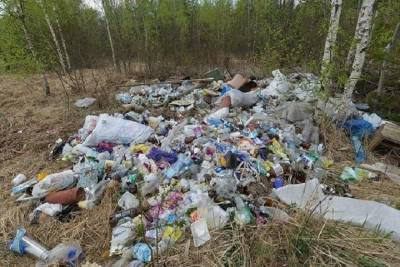 Дачников Заполярья призывают к систематизированному вывозу мусора