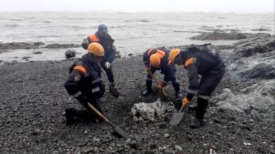 Шторм и туман мешают работе спасателей на месте крушения Ан-26 на Камчатке