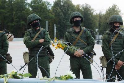 «Забор с колючей проволокой»: власти Литвы описали стену на границе с Белоруссией