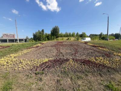 Более 10 тысяч цветов задействовали для создании фигуры оленя в Приокском районе